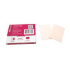 Pink Slips - All Purpose Cleaner: 20-Pack